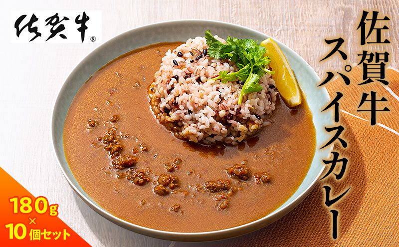 カレー 佐賀牛スパイスカレー10個セット レトルト 惣菜 牛 牛肉