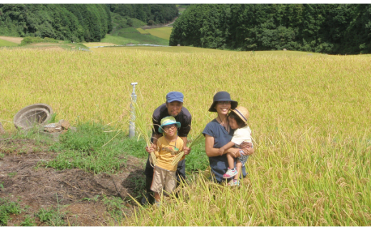 【定期便 全5回】【令和8年産 新米】しょうちゃんの棚田米 夢しずく 米 10kg×5回 合計50kg 佐賀県産 精米 栽培期間中農薬・化学肥料不使用 _l-1