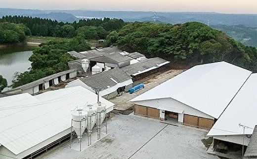 【定期便4回】佐賀牛 ローストビーフ 360g×4回 発送 全4回 | 黒毛和牛 国産 定期便 _k-26