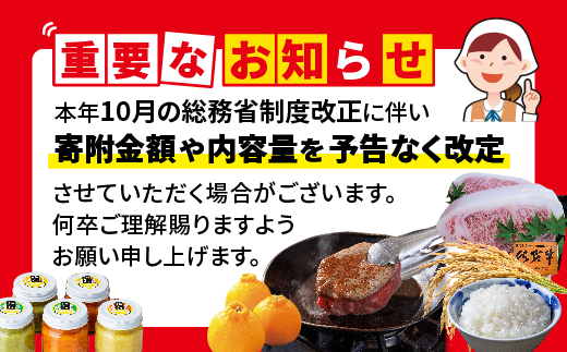 縲蝉サ、蜥8蟷エ逕」 譁ー邀ウ 莠育エ縲大、ゥ菴ソ縺ョ隧ゥ 邊セ邀ウ 10kgシ5kgテ2陲具シ我ス占ウ逵檎肇 逋ス邀ウ _c-128
