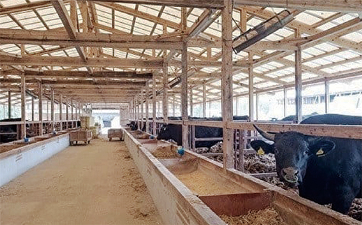 【定期便4回】佐賀牛 ローストビーフ 360g×4回 発送 全4回 | 黒毛和牛 国産 定期便 _k-26