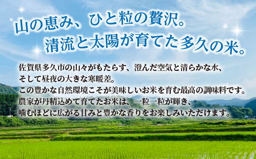 縲蝉サ、蜥8蟷エ逕」 譁ー邀ウ 莠育エ縲大、「縺励★縺 邊セ邀ウ 10kgシ5kgテ2陲具シ我ス占ウ逵檎肇 逋ス邀ウ _c-126