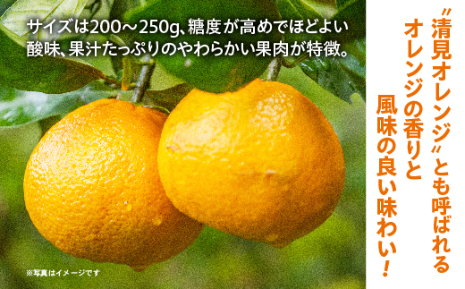 貂隕具シ医″繧医∩シ峨∩縺九s 邏8kg _c-141