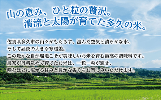 【令和8年産 新米 予約】夢しずく 精米 10kg（5kg×2袋）佐賀県産 白米 _c-126