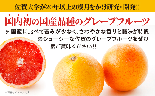 縺輔′繧薙Ν繝薙シ 5kgシ医げ繝ャ繝シ繝励ヵ繝ォ繝シ繝シ _c-138