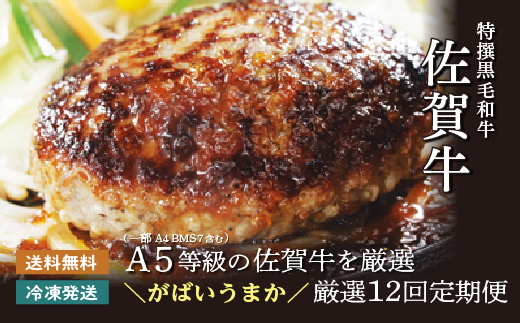 g-10【定期便12回】極上の佐賀牛 食べ比べ 毎月お届け 全12回 月替り 佐賀牛厳選 定期便