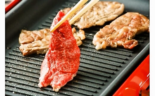 菴占ウ迚 辟シ閧臥畑 500g _c-8