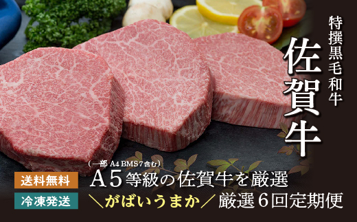 f-84【定期便6回】佐賀牛を偶数月に6回お届け 食べ比べ