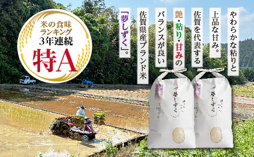 縲先眠邀ウ莠育エ縲台サ、蜥8蟷エ逕」 縺ッ縺後¥繧瑚セイ蝨偵ョ譽夂伐邀ウ 螟「縺励★縺 邊セ邀ウ 10kgシ5kgテ2陲具シ我ス占ウ逵檎肇 _c-154