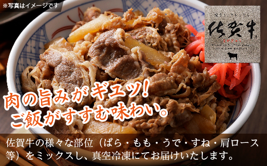 佐賀牛 切り落とし 600g _b-442