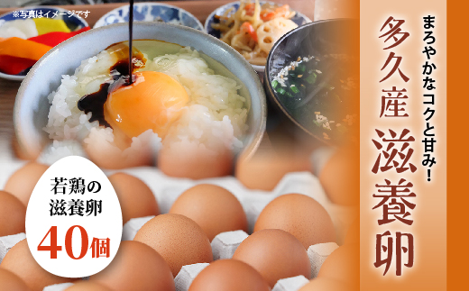 まろやかなコクと甘み！多久産 滋養卵 40個 卵 若鶏の滋養卵 _a-92