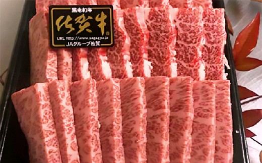 縲6蝗槫ョ壽悄萓ソ縲題∬励ョ菴占ウ迚 讌オ謦ー螳壽悄萓ソ 螂謨ー譛磯埼 蜈ィ6蝗 螳壽悄萓ソ _f-30