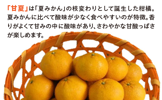 逕伜、 5kg _c-140