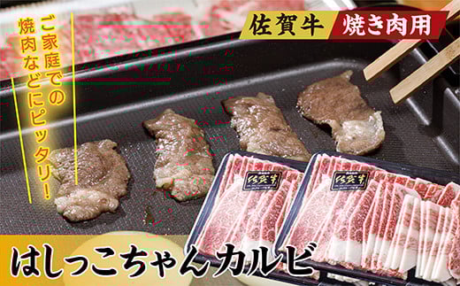 佐賀牛 焼き肉用 はしっこちゃん カルビ 500g × 2パック 計1kg_b-293