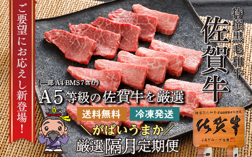 n-20【定期便6回】大人気の赤身も食べられる 極上の佐賀牛 奇数月発送 全6回