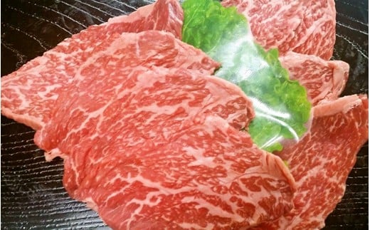 佐賀牛 焼肉切り落とし 500g _z-4