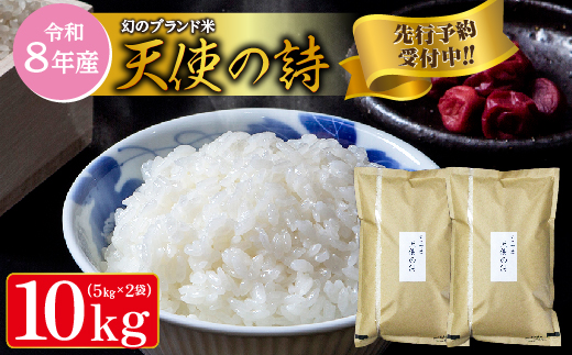 【令和8年産 新米 予約】天使の詩 精米 10kg（5kg×2袋）佐賀県産 白米 _c-128