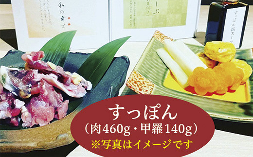 すっぽん鍋 セット 国産 3 〜4 人前 _c-100