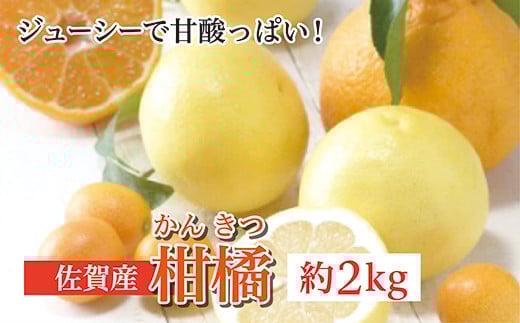 柑橘 詰め合わせ 佐賀産 約 2kg _b-375