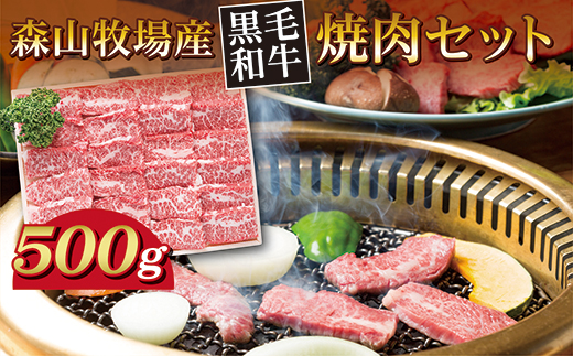 森山牧場 焼肉セット 500g 黒毛和牛 _b-444