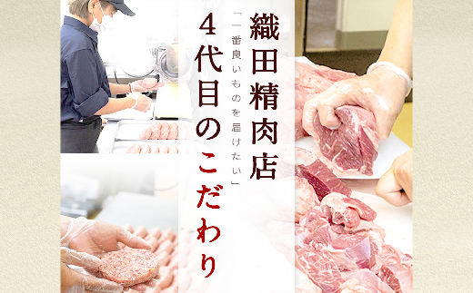 ååãçã¿ã³ã¹ããŒã å¡©å³ 600gïŒ300gÃ2ïŒ_b-445