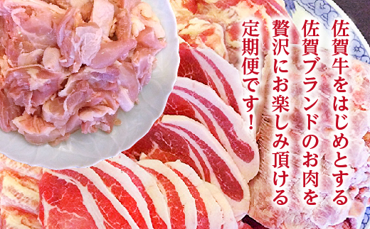 【定期便 6回】佐賀県産 バラエティーMeat定期便 | 肥前さくらポーク 豚ロースしょうが焼き用 骨太有明鶏のモモ肉 佐賀牛切り落とし ハンバーグ 豚ロースとんかつ トンテキ用 _k-4