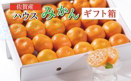 ハウスみかん 佐賀産 ギフト 箱 （20〜30玉） z-85