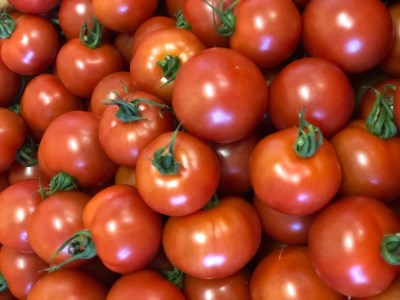 謗。繧後◆縺ヲ繝溘ョ繧」繝医槭ヨ 4kgシ500g テ 8繝代ャ繧ッシ _b-249