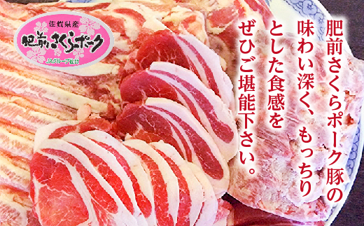 【定期便 6回】佐賀県産 豚肉「肥前さくらポーク」 偶数月配送 全6回 定期便 _k-1
