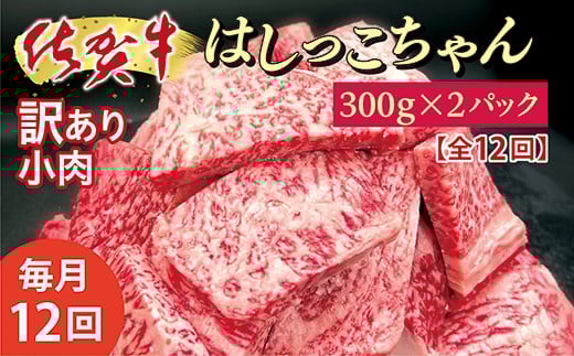 【毎月お届け】訳あり 佐賀牛 小肉「はしっこちゃん」300g×2パック 全12回 定期便 毎月配送 牛肉 端切れ フードロス対策 _f-80