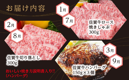 g-10【定期便12回】極上の佐賀牛 食べ比べ 毎月お届け 全12回 月替り 佐賀牛厳選 定期便