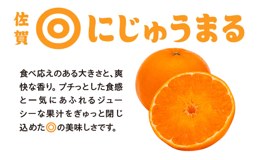 にじゅうまる 約5kg バラ入り お徳用 _e-38