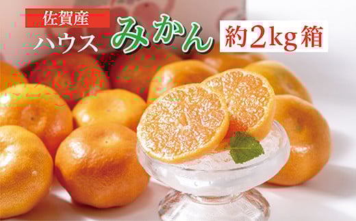 ハウスみかん 佐賀産 約2kg 箱 b-374