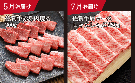 n-20【定期便6回】大人気の赤身も食べられる 極上の佐賀牛 奇数月発送 全6回