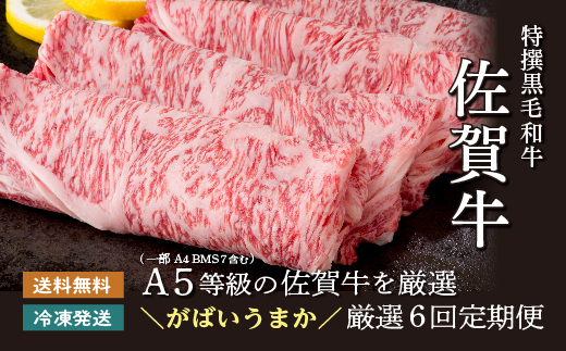 f-83縲仙ョ壽悄萓ソ6蝗槭第・オ荳翫ョ菴占ウ迚 鬟溘∋豈斐∋ 螂謨ー譛育匱騾