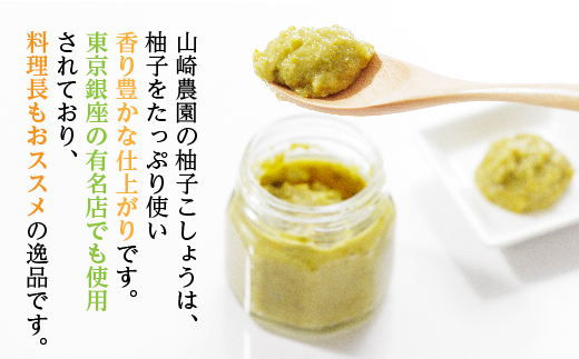 柚子こしょう 辛さ控えめ 1kg 青 柚子胡椒（ゆずこしょう） _b-180