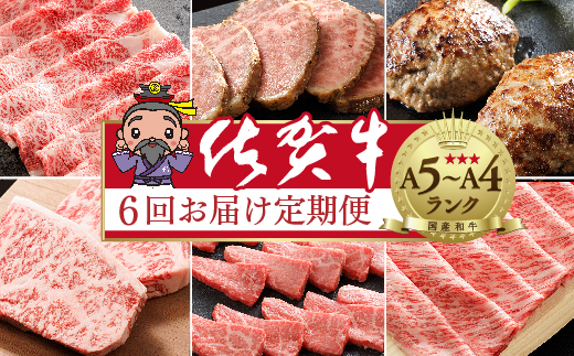 n-20【定期便6回】大人気の赤身も食べられる 極上の佐賀牛 奇数月発送 全6回
