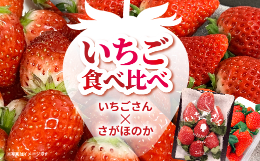 いちご食べ比べ（いちごさん・さがほのか） _b-497