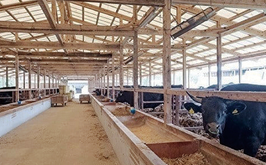 【定期便６回】佐賀牛 ヒレステーキ 300g×6回 偶数月発送 年6回 黒毛和牛 _g-9