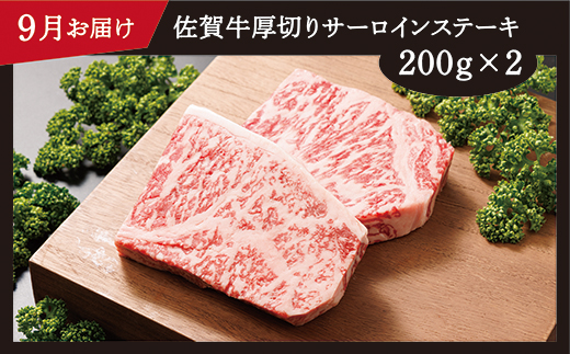 n-7【定期便6回】大人気の赤身も食べられる！佐賀牛 定期便 奇数月発送 全6回