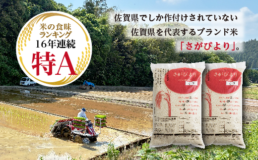 【新米予約】令和8年産 はがくれ農園のさがびより 精米 10kg（5kg×2袋）米 お米 _c-152