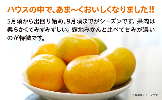 繝上え繧ケ縺ソ縺九s 邏1kg _c-139