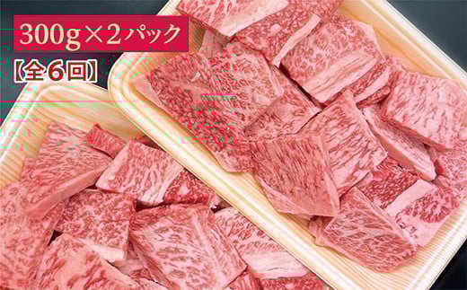 【6回定期便】佐賀牛小肉「はしっこちゃん」偶数月配送 全6回 定期便 _r-14