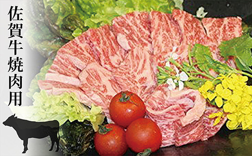 佐賀牛 焼肉用 500g _c-8