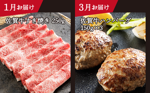 n-20【定期便6回】大人気の赤身も食べられる 極上の佐賀牛 奇数月発送 全6回