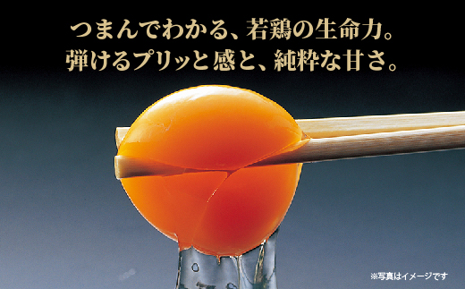 まろやかなコクと甘み！多久産 滋養卵 40個 卵 若鶏の滋養卵 _a-92