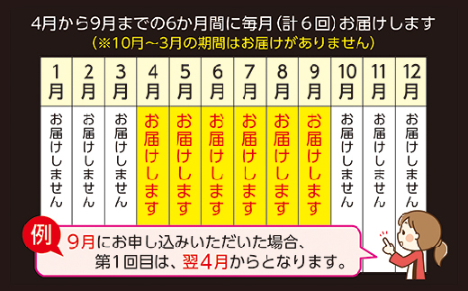 【定期便 6回】昭和21年創業 老舗の佐賀牛ハンバーグ 150g × 12個 定期便 6回配送 _k-5