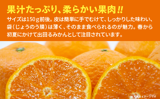 【ご家庭向け】南津海（なつみ）みかん 4.5kg _b-501