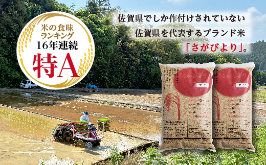 【新米予約】令和8年産 はがくれ農園のさがびより 玄米 10kg（5kg×2袋）米 お米 _c-151