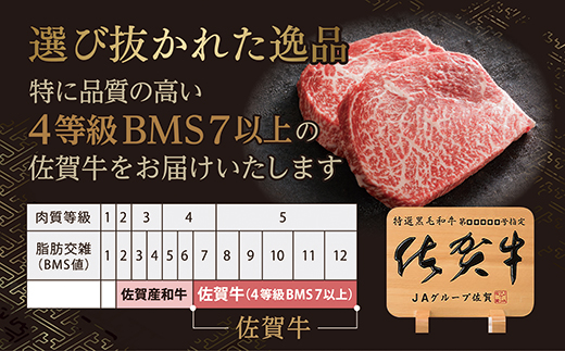 n-7【定期便6回】大人気の赤身も食べられる！佐賀牛 定期便 奇数月発送 全6回